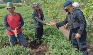 IMG-20230724-WA0038