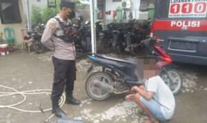 IMG-20230727-WA0035
