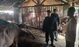 IMG-20230731-WA0045