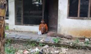 IMG-20230805-WA0119