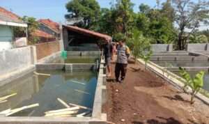 IMG-20230805-WA0132