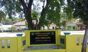 IMG-20230808-WA0056(1)