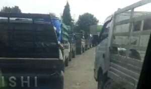IMG-20230809-WA0006