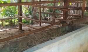 IMG-20230816-WA0013