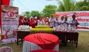 IMG-20230819-WA0008