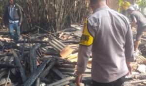 IMG-20230821-WA0002