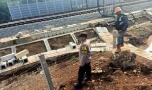 IMG-20230822-WA0027