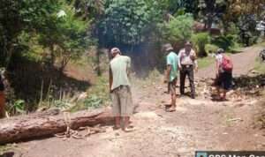 IMG-20230824-WA0056