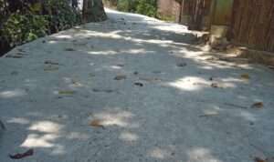 IMG-20230825-WA0001
