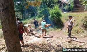 IMG-20230826-WA0009