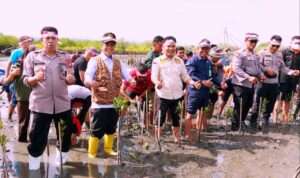 IMG-20230827-WA0078