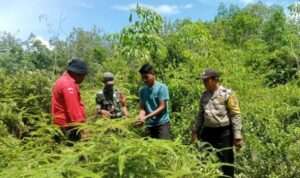 IMG-20230829-WA0068