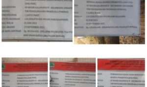 PhotoGrid_Plus_1691023832405(1)