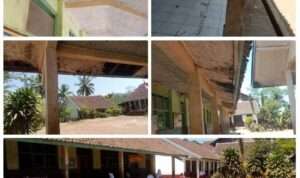 PhotoGrid_Plus_1692578729415(1)