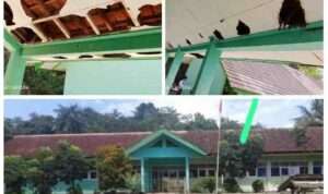 PhotoGrid_Plus_1692745544848(1)