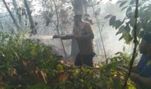 IMG-20230904-WA0005