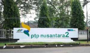 IMG-20230916-WA0117(1)