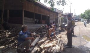 IMG-20231017-WA0081