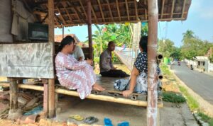 IMG-20231105-WA0017