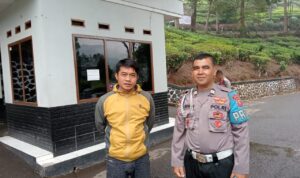 IMG-20231113-WA0022