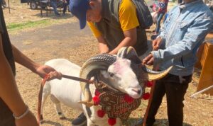 IMG-20231113-WA0104