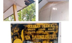 PhotoGrid_Plus_1699082177190(1)