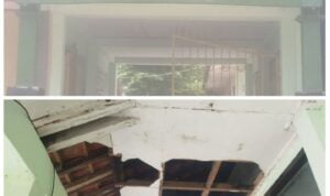 PhotoGrid_Plus_1699850862957(1)