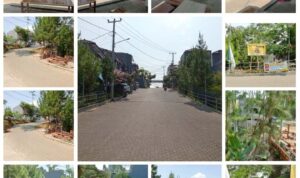 PhotoGrid_Plus_1700661592234(1)