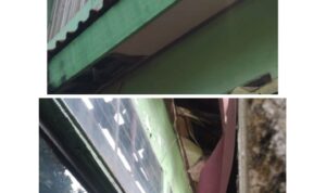 PhotoGrid_Plus_1701424454433