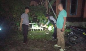 IMG-20240126-WA0017
