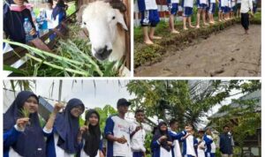 PhotoGrid_Plus_1706137330061(1)