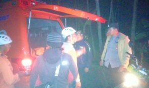 IMG-20240225-WA0118