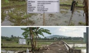 PhotoGrid_Plus_1706791917781(1)