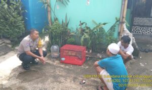 IMG-20240303-WA0003
