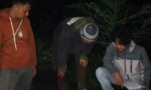 IMG-20240303-WA0095