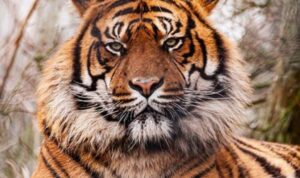 IMG-20240307-WA0086