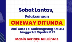 IMG-20240412-WA0048