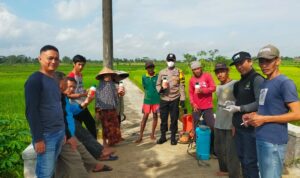 IMG-20240505-WA0028