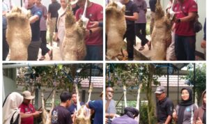 PhotoGrid_Plus_1718682247445