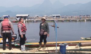 IMG-20240711-WA0084