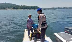 IMG-20240926-WA0029