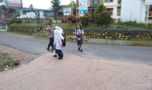 IMG-20241113-WA0132