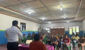IMG-20241113-WA0133