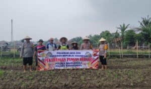 IMG-20241116-WA0073