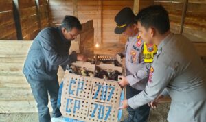 IMG-20241122-WA0123