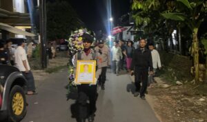 IMG-20241208-WA0022