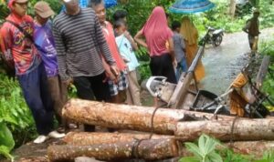 IMG-20241209-WA0003