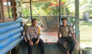 IMG-20250115-WA0051
