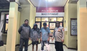 IMG-20250514-WA0045