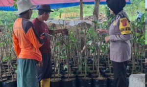 IMG-20250605-WA0057